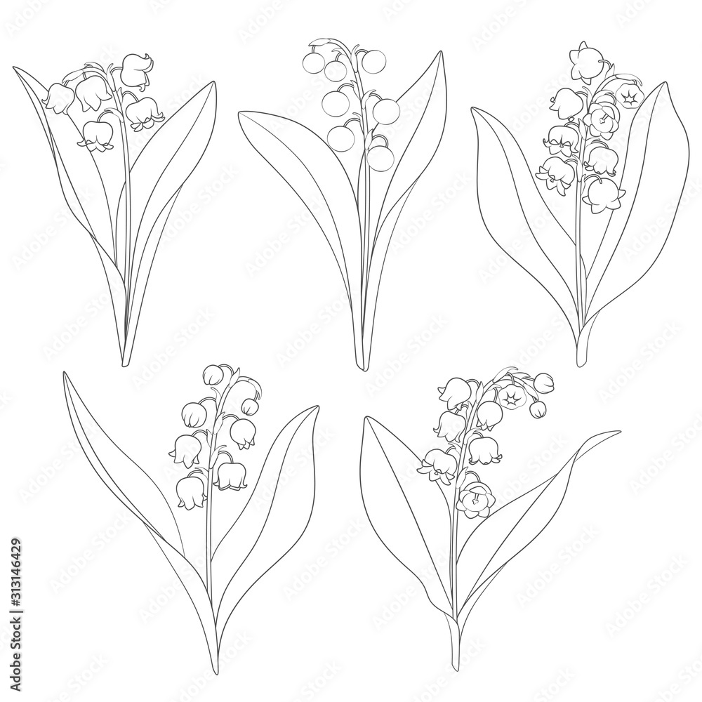 Poster set of black and white images with lilies of the valley. isolated vector objects on a white backgrou