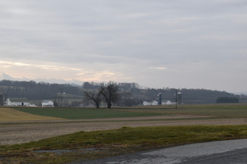 rural landscape