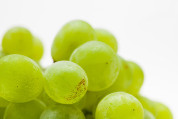  Close up of green grapes