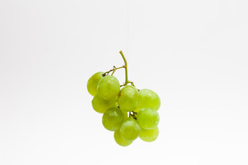 isolated fresh green grapes