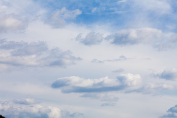 Abstract cumulus clouds the sky 