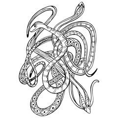Snake hand draw vintage antistress pencils. Cobra, viper in leaves, plants. coloring book for children and adults. Stock illustration on an isolated white background. Design for tattoo, paper, textile