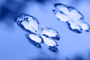 Spring flowers in water