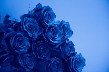 bouquet of roses, blue toning, color of the year