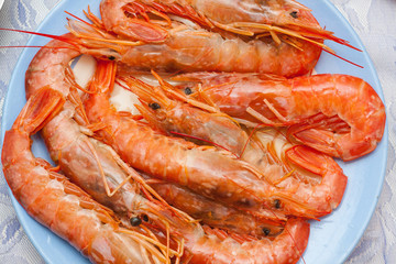 Fresh cooked lagoustines on the plate. Seafood menu.