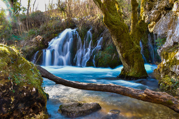 River and waterfalls somewhere in wood, tree crossed river.