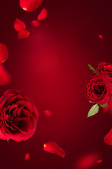 Flying petals and red roses on a red background with copy space. Creative floral levitation in the air nature layout. Spring blossom concept for wedding, women, Mother, 8 March, Valentine's day