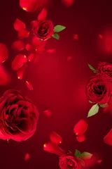 Fotobehang Flying petals and red roses on a red background with copy space. Creative floral levitation in the air nature layout. Spring blossom concept for wedding, women, Mother, 8 March, Valentine's day © PINKASEVICH