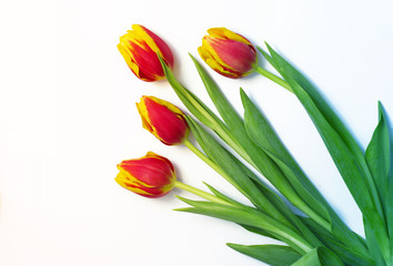 Bouquet of red yellow tulips on white background