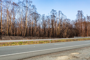 New South Wales Bushfires