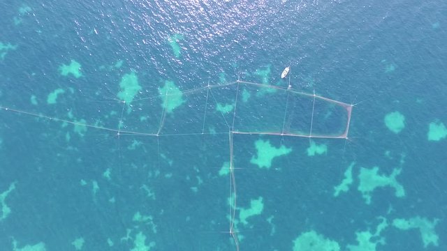 Fishing net for catching fish in the blue sea and little white boat. Aerial drone footage 