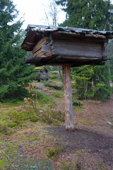 An old authentic little wooden house on top of a log above the ground for an 18th-century hunter in the midst of a gloomy autumn pine forest on the island of Seurasaari in Helsinki, Finland.