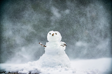 Christmas snowman on snow in winter