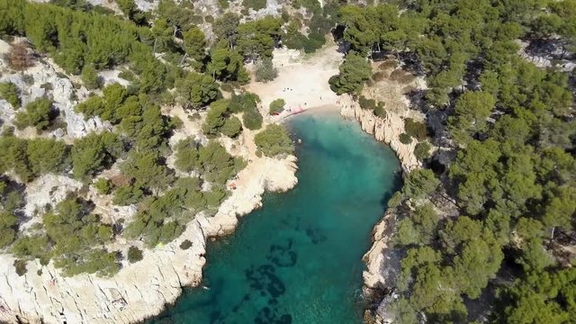 Aerial drone shot flying over the calanque d'en vau in south of france. Beautiful creek with trees and clear water, sunny day.