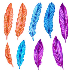 Fototapeta na wymiar set of feather