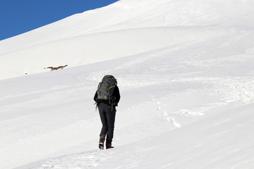 Fototapeta na wymiar camminare in mezzo alla neve