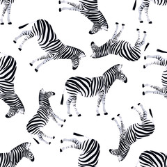Fototapeta na wymiar Zebra seamless pattern. Animal texture black and white. Jungle exotic background. Natural background. Fashion design.