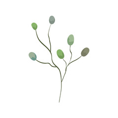 branches with leafs nature ecology isolated icon