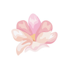 cute flower natural isolated icon
