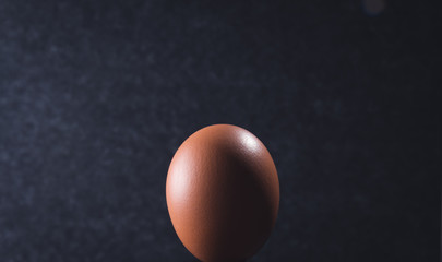chicken egg on a black background