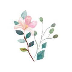 cute flower with branches and leafs isolated icon