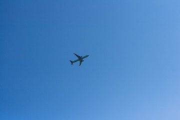 airplane in flight