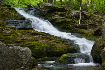 waterfall in forest