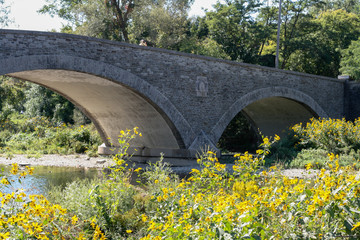 Fototapeta na wymiar Old bridge over the river and flowers. Sunny day