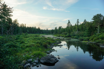 lake in forest