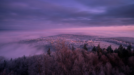 Winter Morning in the Black Forest