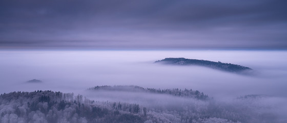 Frozen Forest during the Blue Hour