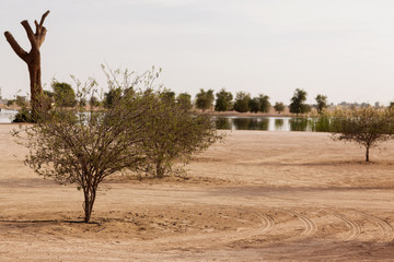 Fototapeta premium Love Lake Heart Shaped Landscape in Dubai
