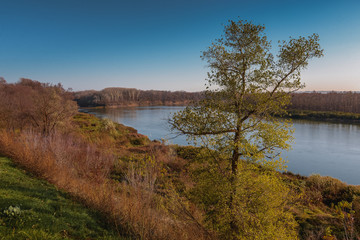 Fototapeta na wymiar lake in autumn (day landscape)