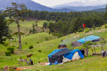 Gypsy in the forest. Tent and horse