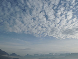 blauer und weißer Reiter