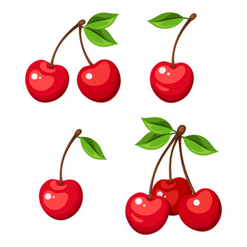 Vector illustration of four cherry berries and bunches of cherry isolated on a white background.