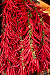 Fototapeta premium Red Chili