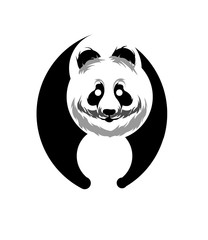 panda on white background