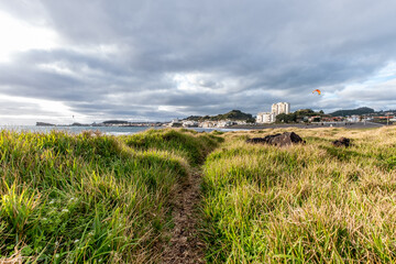 Small path between the grass, with the Milícias Beach or Populo Big Beach (Praia das Milícias ou...