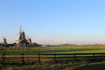 Naklejka premium rural landscape with windmill