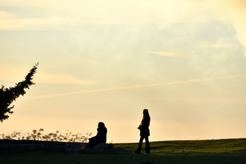 Silhouettes of a young photographer next to another woman sitting admiring the beauty of a large fir tree in a foggy atmosphere with the bucolic and dramatic light of the sunset