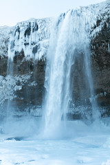 A huge waterfall frozen in icicles in winter. Winter Landscapes of Iceland