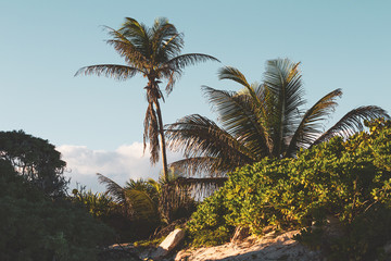 Vintage Karibik Tulum