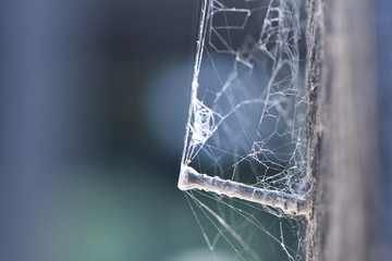 A tangled, silk spider web or cobweb tethered to a nail in Wonthaggi on the Bass Coast, South Gippsland, Victoria, Australia.