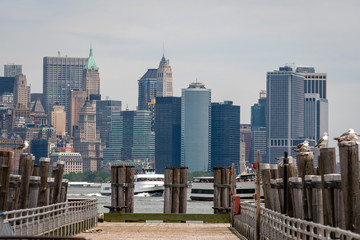 Obraz premium Seagulls at the Old Ferry Dock on Liberty Island near New York City, USA - Image