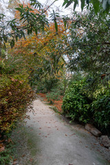 Walking surrounded by vegetation in the middle of the forest