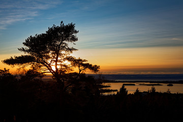Fototapeta na wymiar Tree during sunset, with bay in the background