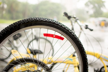 Fototapeta premium Bike