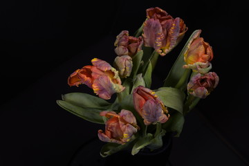 Bouquet of Tulips