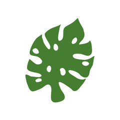 leaf nature tropical isolated icon vector illustration design